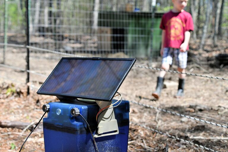Best Power Banks For Emergency Use (Including Solar Options)