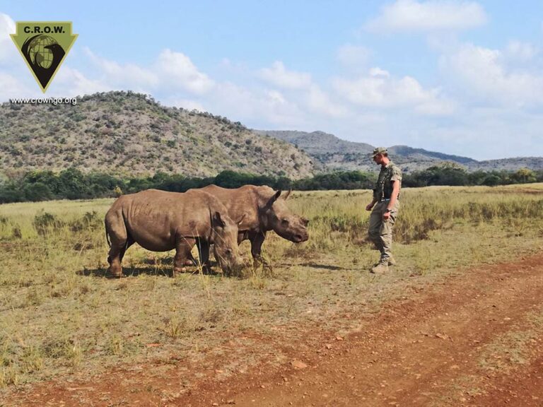 Anti-Poaching Operations in Africa