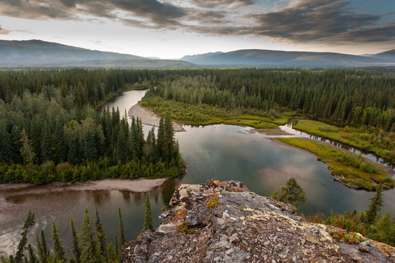 Average Person Think They Can Survive For 2 Weeks In The Wilderness — But Most Can’t Start A Fire, Survey Reveals