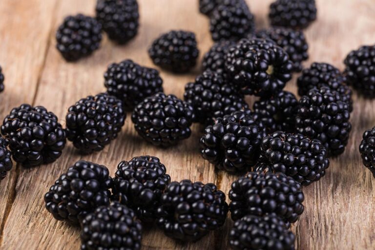 Local Foraging – Pay Attention To What Wild Food You Find In Your Local Area