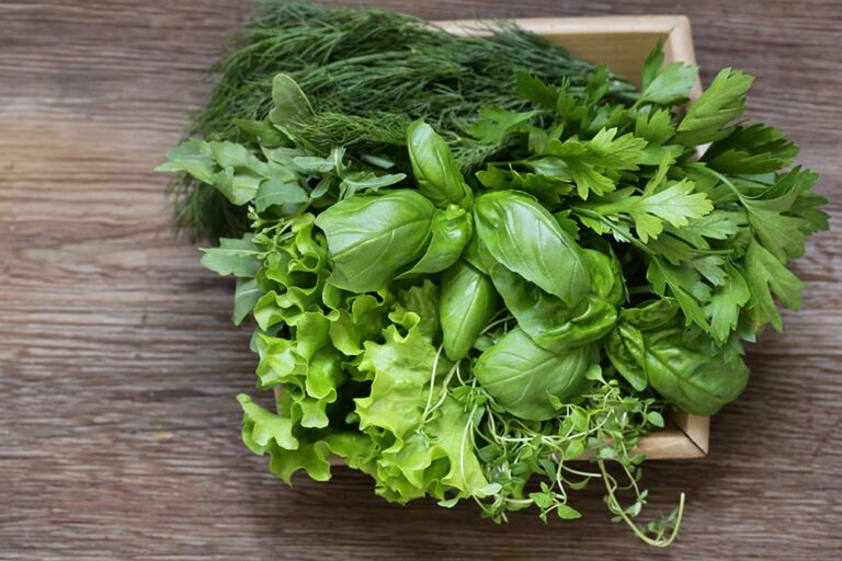 Tips On Tactical Gardening