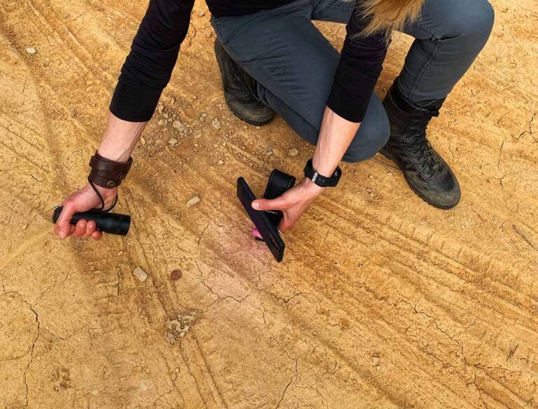 Clues From The Ground