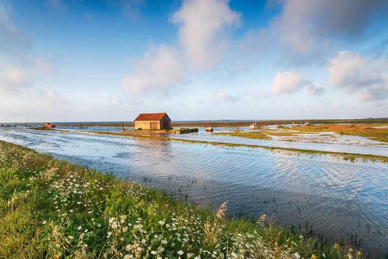 How To Prepare For A Flood