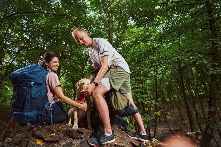 From Survival Skills to Mental Resilience: The Essential Prepper Skills
