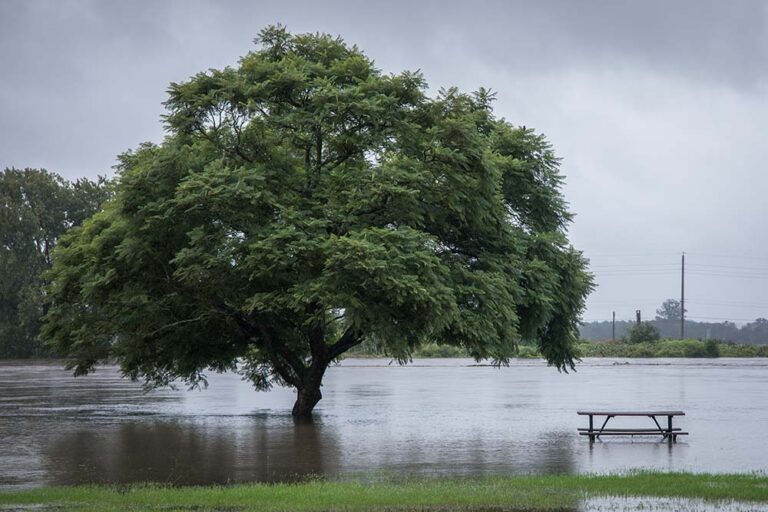 How To Prepare For A Flood