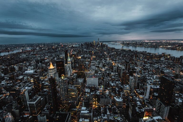 Escaping From A Metropole – Considerations On Urban Camouflage