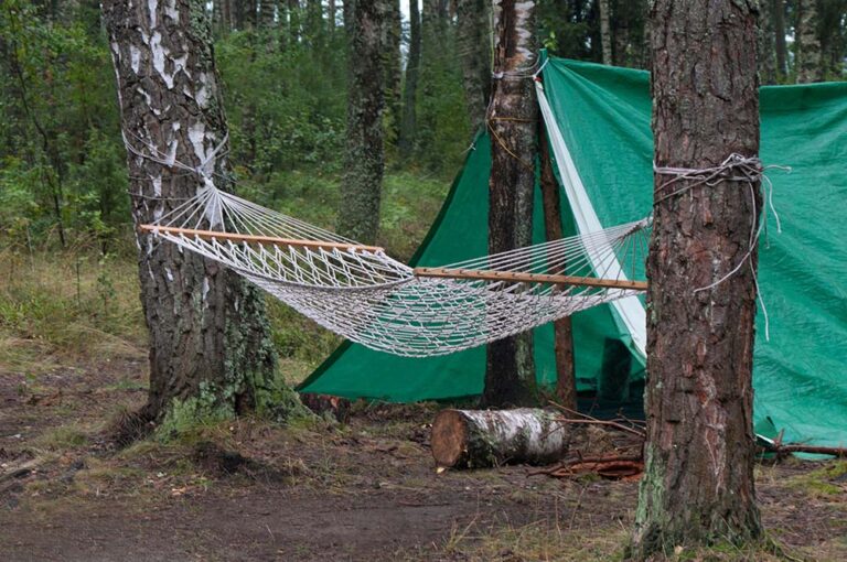 What Is Tarp Camping?